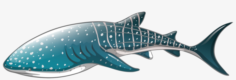 Png Freeuse Library Whale Png Best Web - Whale Shark Vector, transparent png #318259