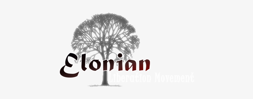 Sh98qhv - Sabal Palmetto, transparent png #318482