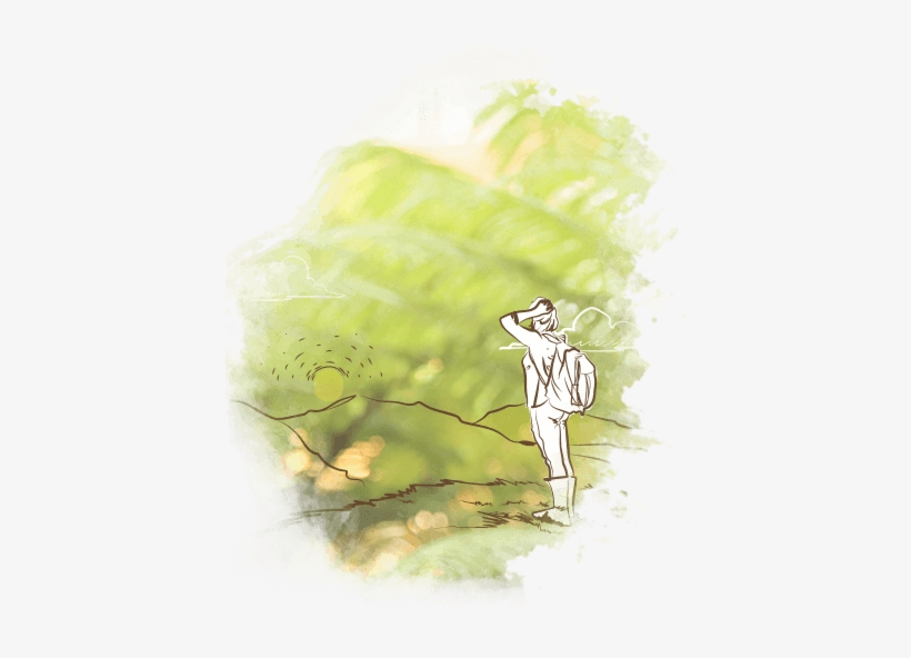 Maria Luisa Trejos - Illustration, transparent png #318524