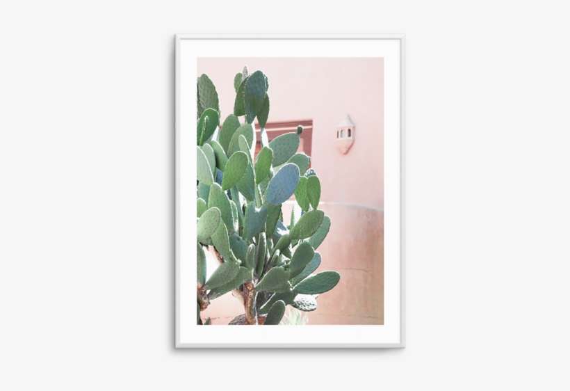 California Cactus No I California Cactus No I - Cactus, California, transparent png #319115