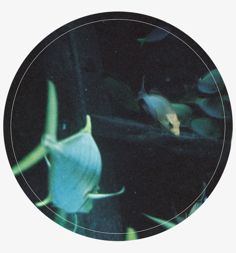 Side B Soundcloud, transparent png #319210