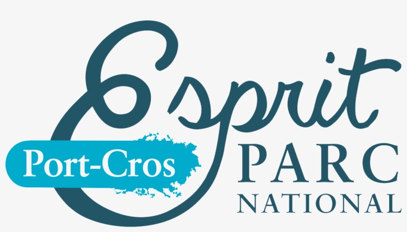 Esprit Parc National Port Cros Transparent - Piazza Del Campo, transparent png #3100826