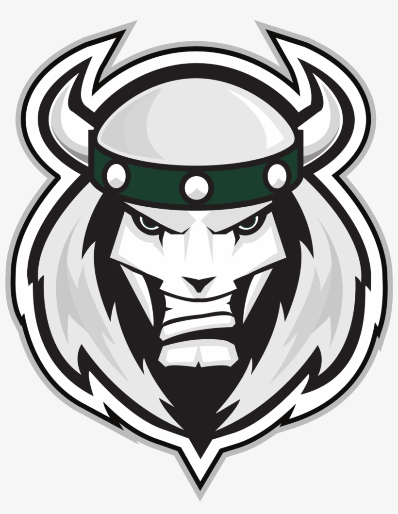 Woodstock Slammers Logo, transparent png #3101109