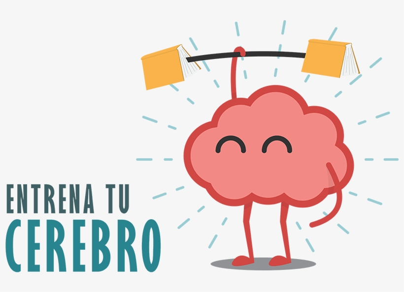 Incrementa Algunas Áreas Del Cortex Cerebral Lo Que - Brain Clipart Png, transparent png #3101417