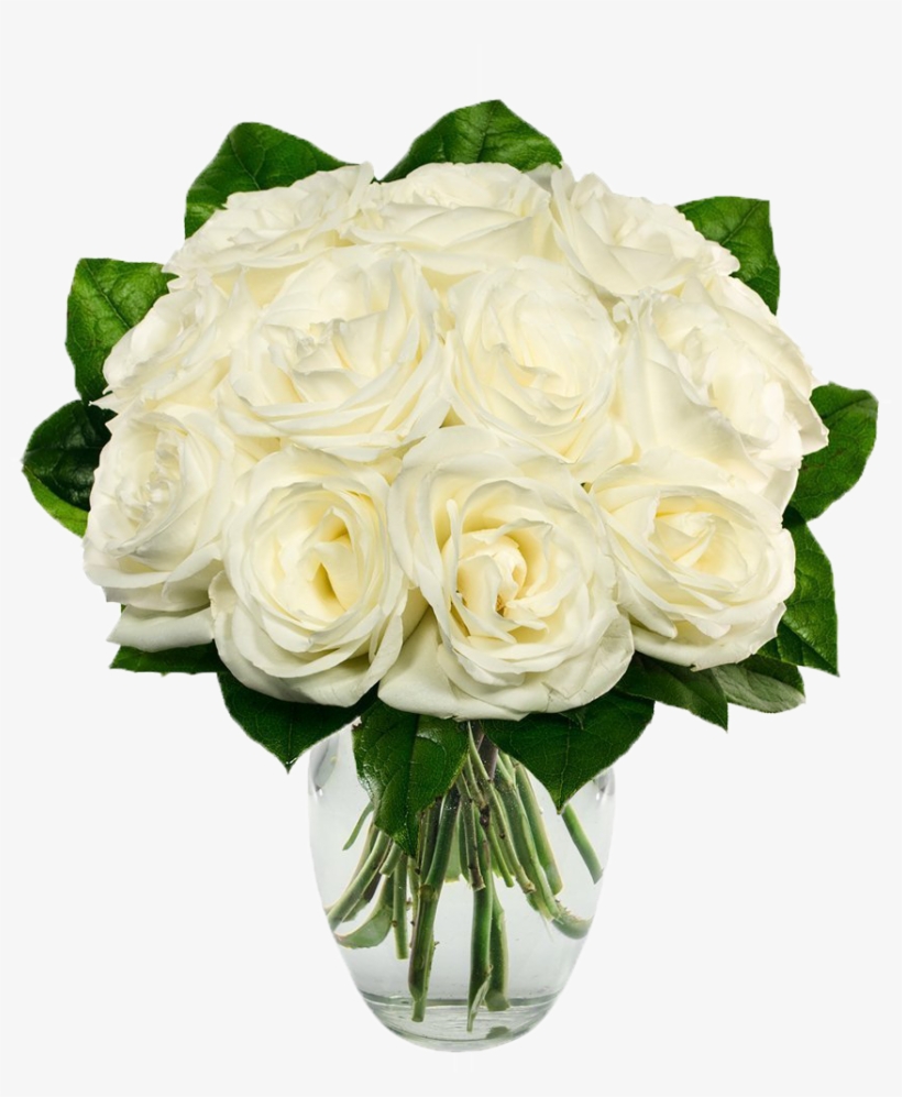 White Roses, transparent png #3102252