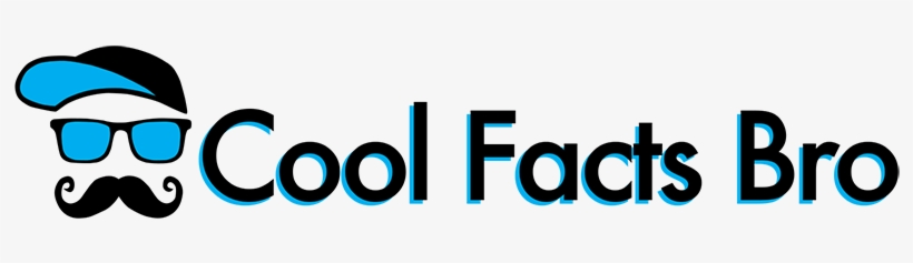 Cool Facts Bro - Donald Trump's The Art Of The Deal: The Movie, transparent png #3104534