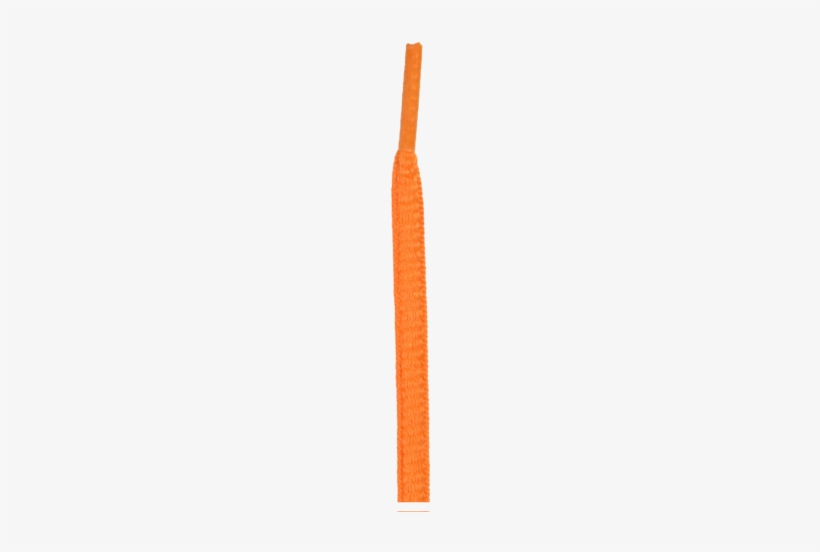 Oval Athletic Shoelace - Shoelaces, transparent png #3105639