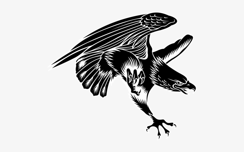 Black Hawk Bird Tattoo, transparent png #3106353