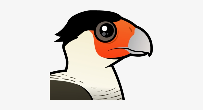 Also Known As - Caracara, transparent png #3106444