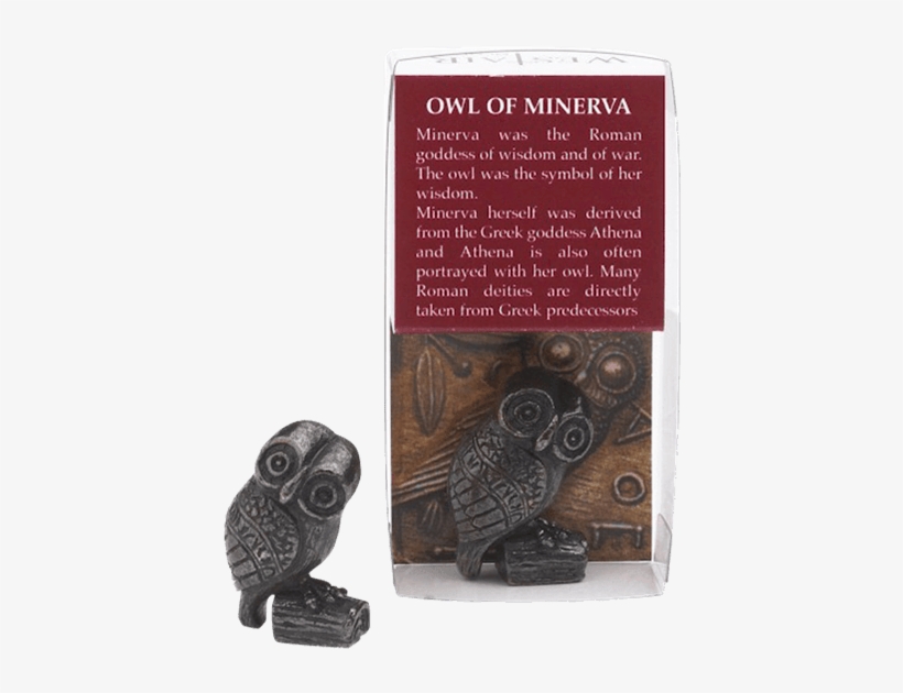 Mini Owl Of Minerva - Owl Of Athena, transparent png #3107076