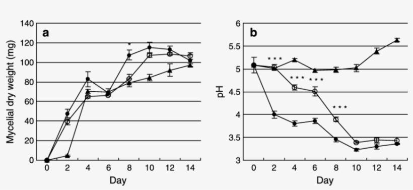 Mycelial Dry Weight - Common Fig, transparent png #3107802