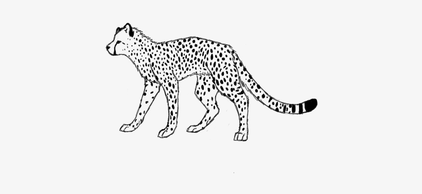 Cheetah Lineart By Theamazingchair - Cheetah Line Art, transparent png #3107962