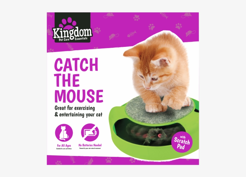 Catch The Mouse Cat Toy - Cat Toys, transparent png #3108073