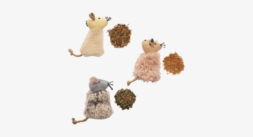 Catnip-alternative Sampler - Tatarian Honeysuckle, transparent png #3108118