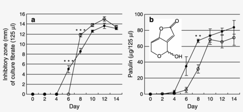 Antifungal Activity - Diagram, transparent png #3108162