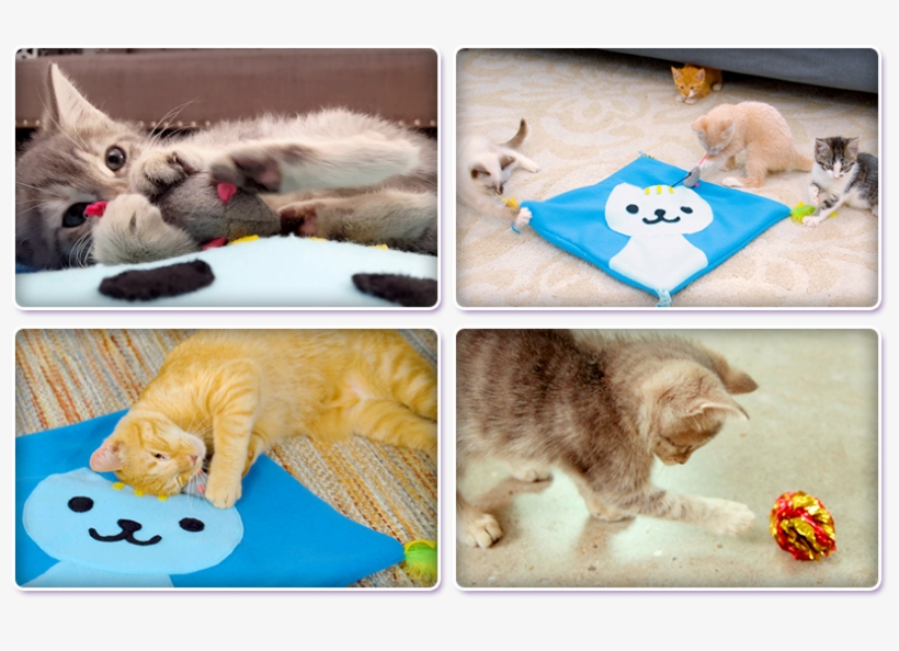 See How Much Your Cat Will Love It - Cat, transparent png #3108211