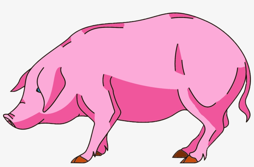 Pig Bd7 Animated - Wiki, transparent png #3108423