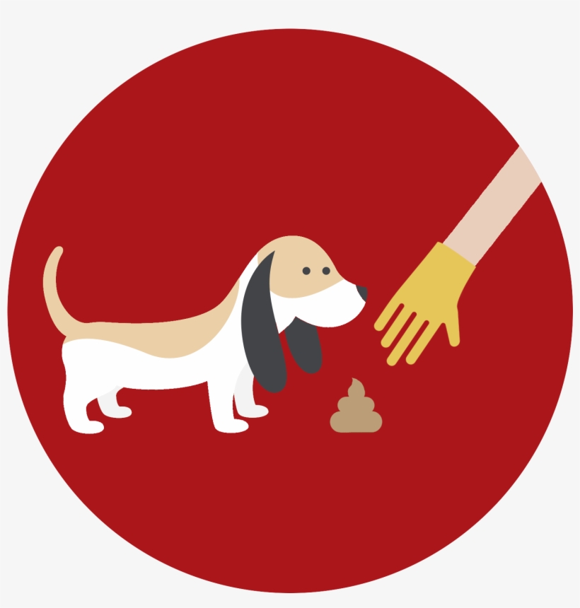 Graphics Provided By Www - Basset Hound, transparent png #3108426