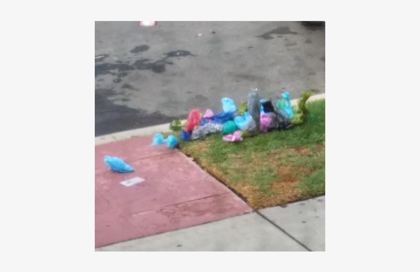 Dog Poop Is Not Recyclable - Dog, transparent png #3108541