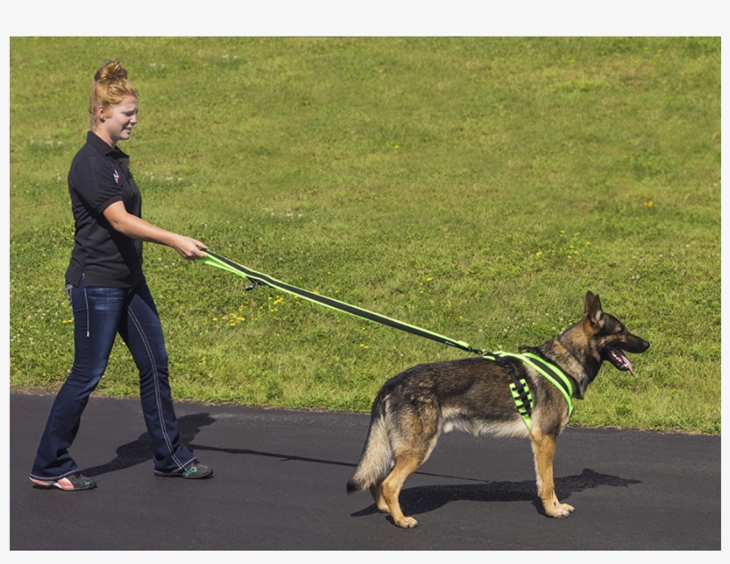 Eezwalker Built-in Poop Bag Dog Leash - Dog, transparent png #3108995