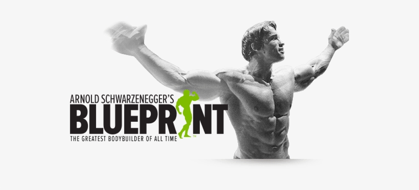 Before He Has Been The Actual Monokini Terminator Or - Arnold Schwarzenegger Blueprint Png, transparent png #3110124