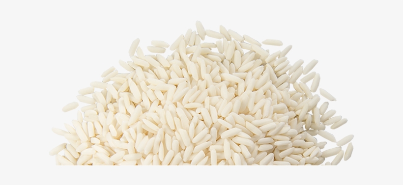 Kinds Of Rice Png, transparent png #3112875