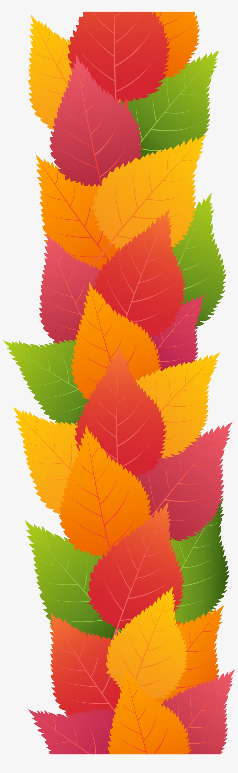 Maple Leaf, transparent png #3112904
