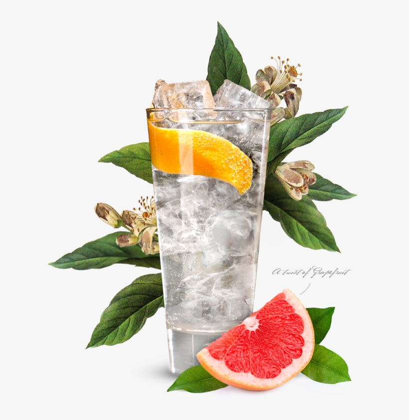 Portobello Road Gin & Tonic Gin And Tonic Png Free Transparent PNG