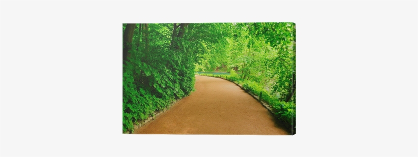 Electromagnetic Coil, transparent png #3113268