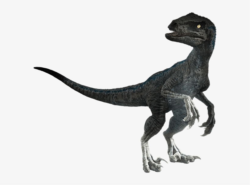 The Kaiju Brony Official Jurassic World Fallen Kingdom - Jurassic World Fallen Kingdom Dinosaurs Png, transparent png #3113567