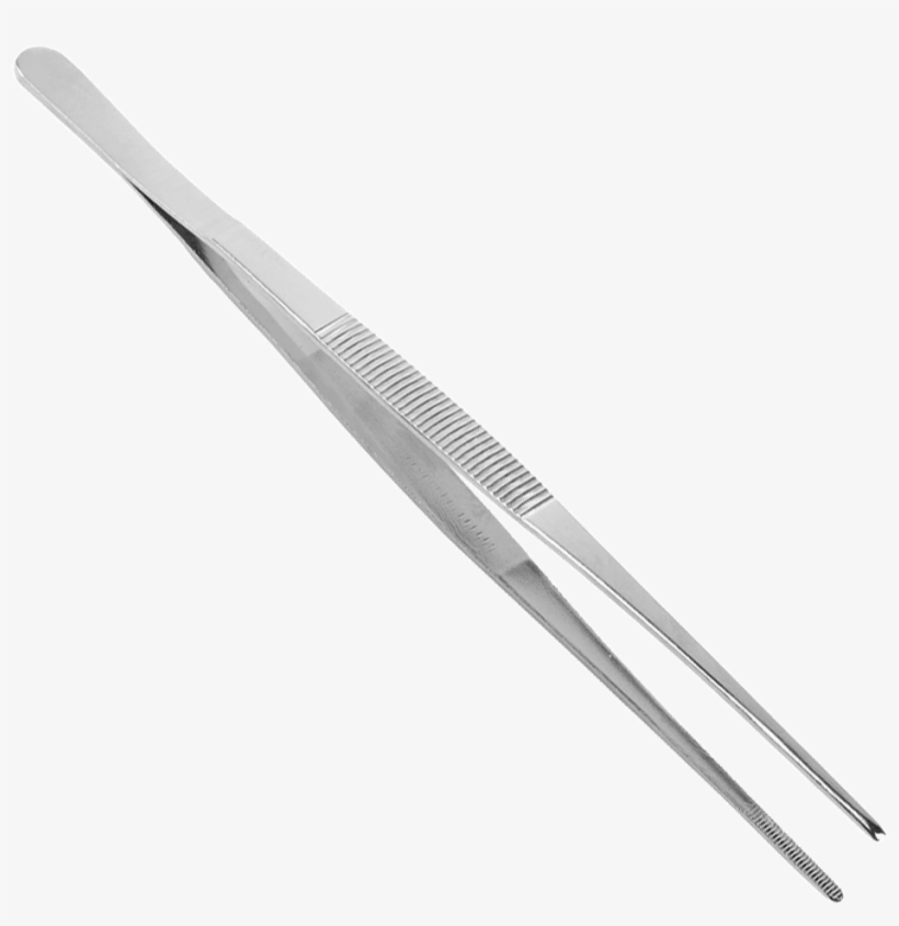 Garnish Tongs 10 Inch - Double Nut Tweezers, transparent png #3113637