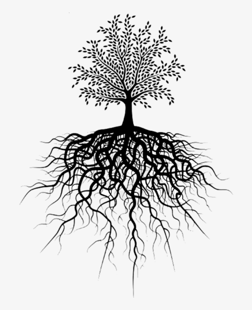 Report Abuse - Small Tree Big Roots, transparent png #3114324