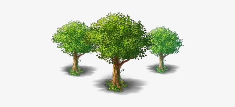 Root Pruning Services - California, transparent png #3114381