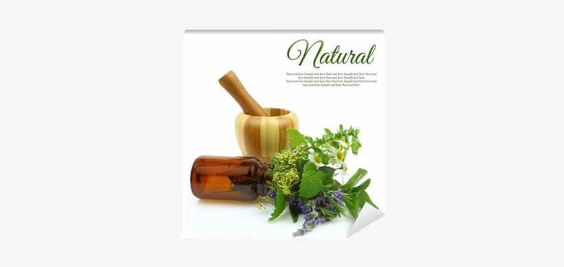 Mortar And Pestle With Fresh Herbs And Medical Bottle - Best Selling Setting Spray That Actually Works, transparent png #3115609