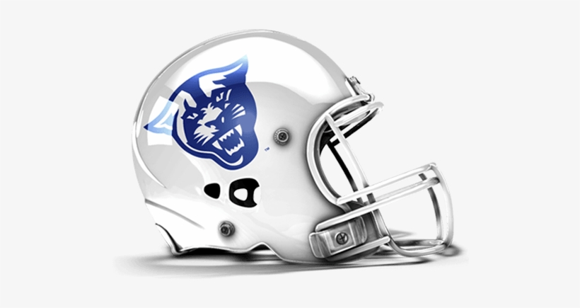 Panthers Helmet - Arizona Wranglers, transparent png #3115733