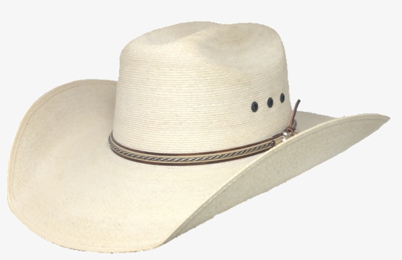 Rdr Palm Hat - Hat, transparent png #3117463