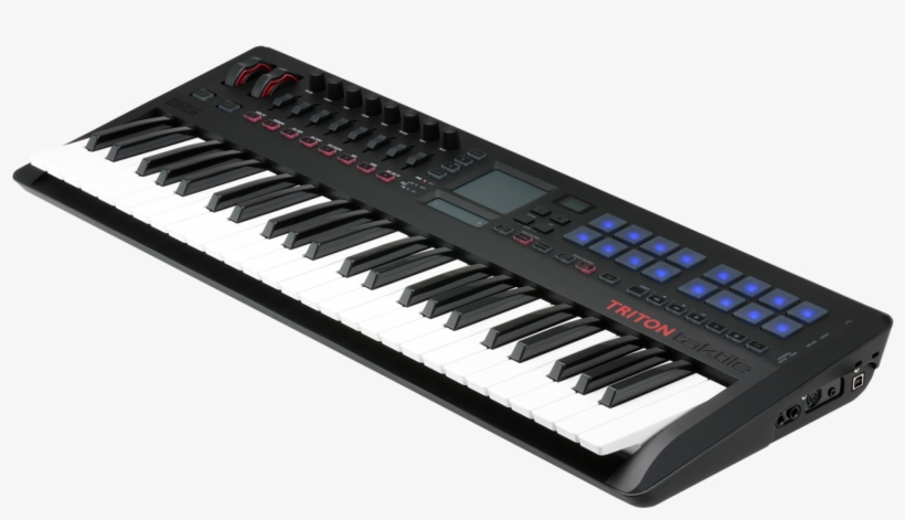 Korg Triton Taktile 49 Usb Controller Keyboard, transparent png #3117660