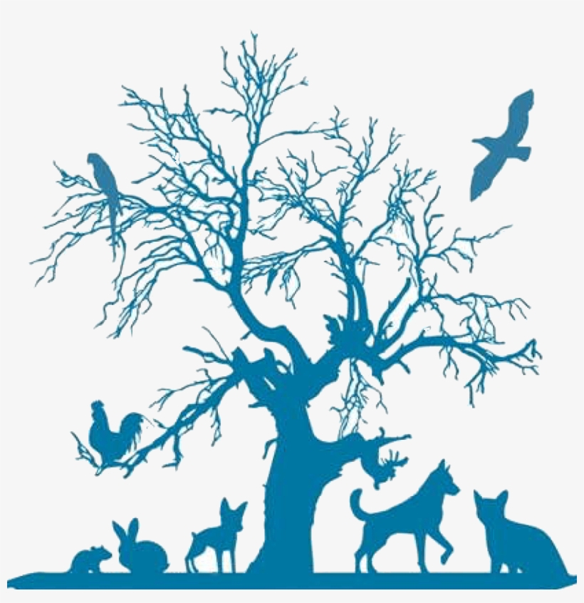 Contact Us - Travel And Tourist In Nepal Logo, transparent png #3117665