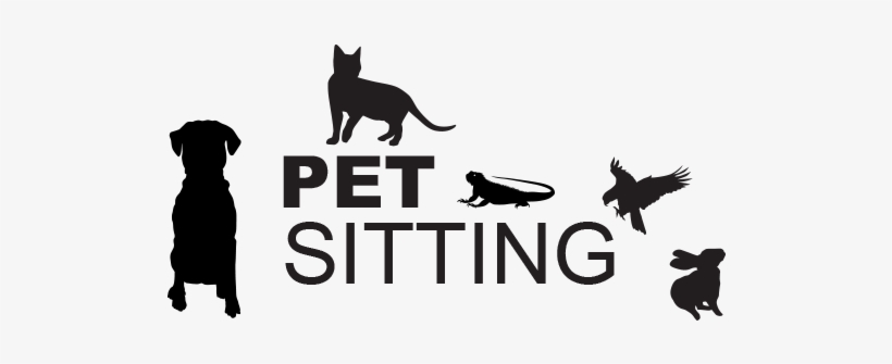 Pet Sitting, transparent png #3117685