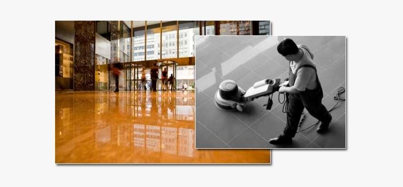 We Specialize In - Floor, transparent png #3118602