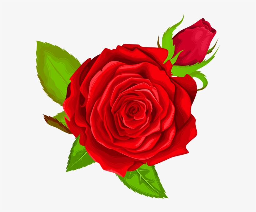 Red Rose Decorative Png Clip Art Image - Portable Network Graphics, transparent png #3118974