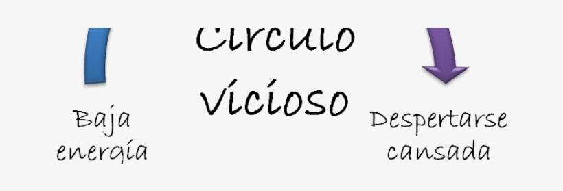Circulo Vicioso - Calligraphy, transparent png #3119569