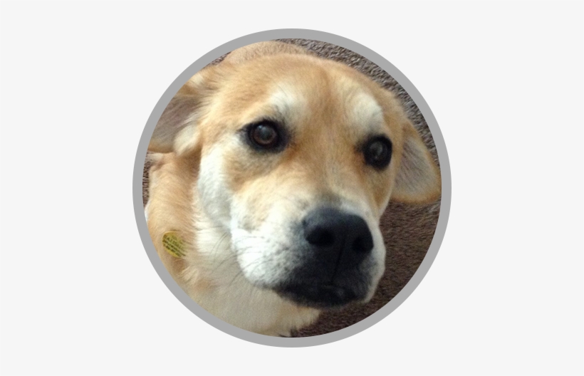 Anabelle - Annabelle, transparent png #3119637