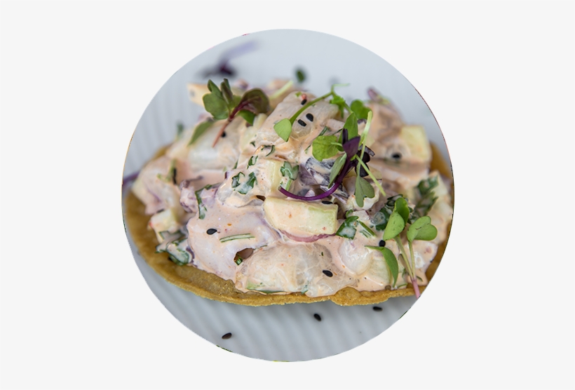 Camaron - Tostadas North Park, transparent png #3119751