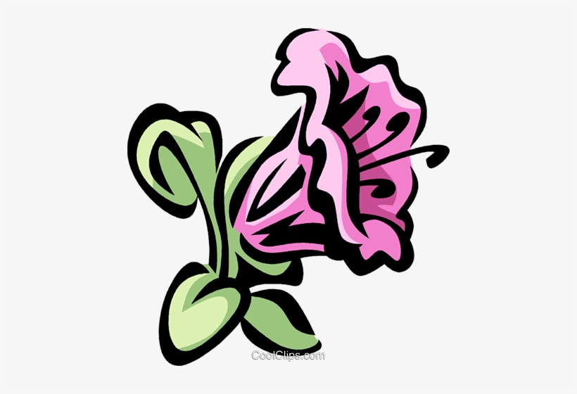 Rhododendron - Rhododendrons Clipart, transparent png #3119962