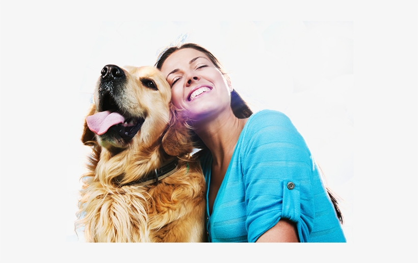How To Save On Pet Prescriptions - Dog And People, transparent png #3119987
