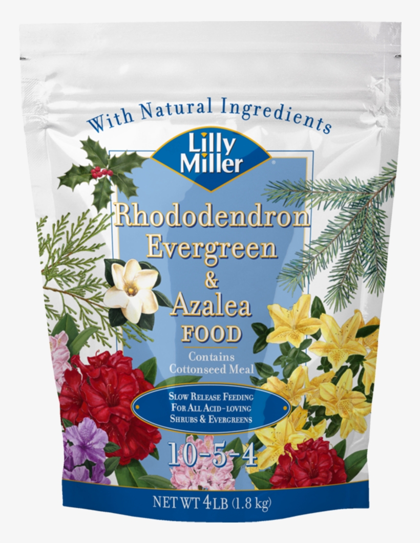 Lilly Miller Rhododendron Evergreen & Azalea Food Plant - Lilly Miller Lilly Miller Morcrop Vegetable Food, transparent png #3120031