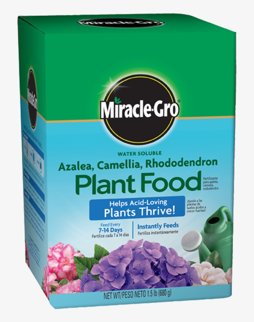 Miracle Gro Water Soluble Azalea, Camellia, Rhododendron - Miracle Gro Rose Food, transparent png #3120147