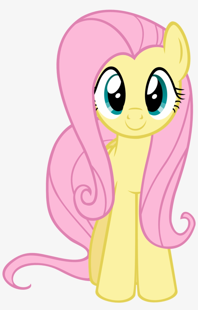 A Question And Answer Session With Corch Travis - Fluttershy From The Front, transparent png #3120236