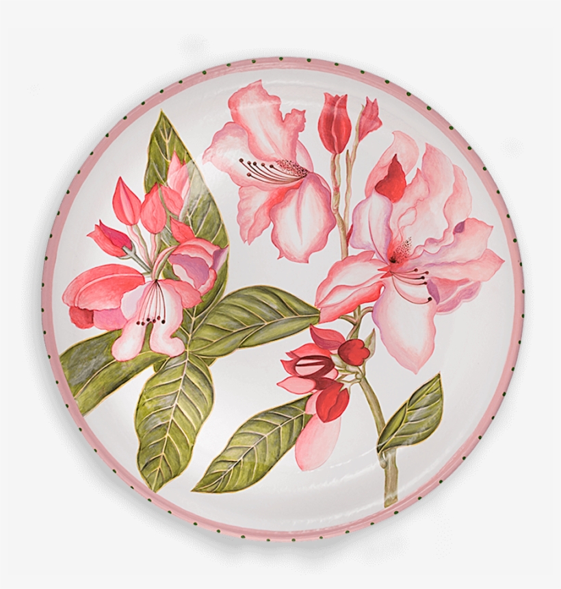 Tol-26 Rhododendron - Rhododendron, transparent png #3120290